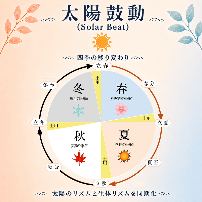 太陽鼓動
